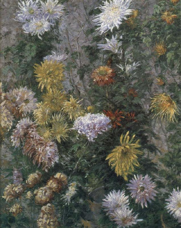 Gustave Caillebotte White and yellow chrysanthemum oil painting picture
